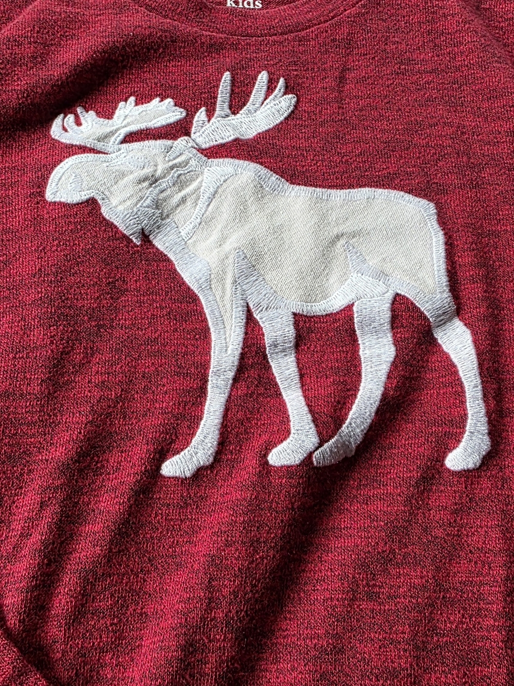 abercrombie kids Red Sweater